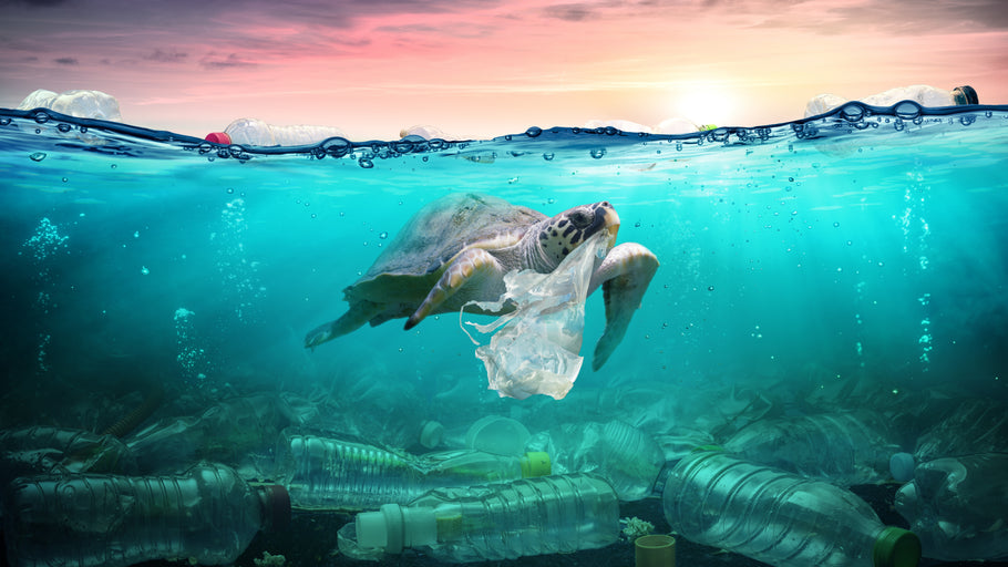Les nanoparticules de plastique: "une crise sanitaire mondiale" selon un toxicologue