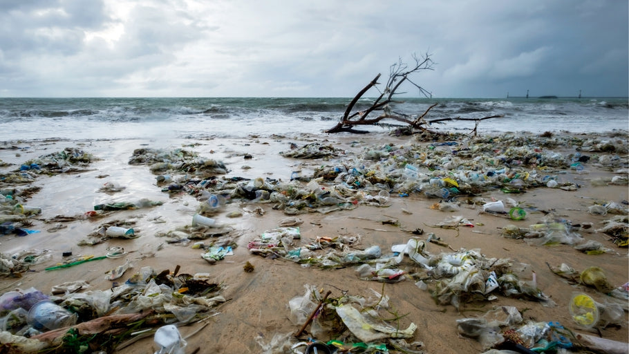 Pourquoi est-ce important de réduire la consommation de plastique?